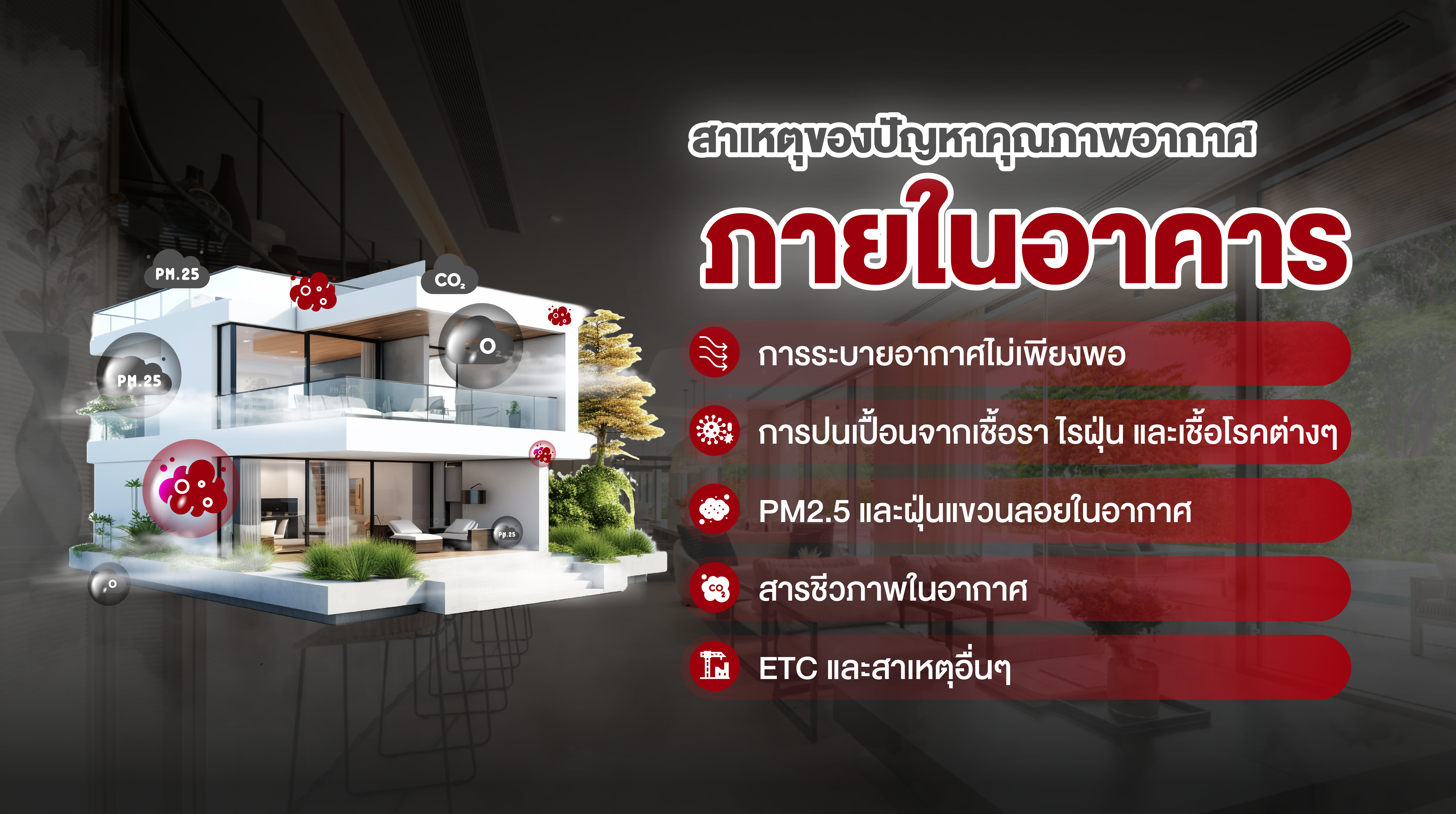 Artboard 1 copy 10@300x Artboard 1 copy 10@300x